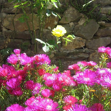 Liosderrig House B&B Glenbeigh Dış mekan fotoğraf