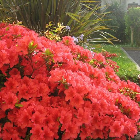 Liosderrig House B&B Glenbeigh Dış mekan fotoğraf