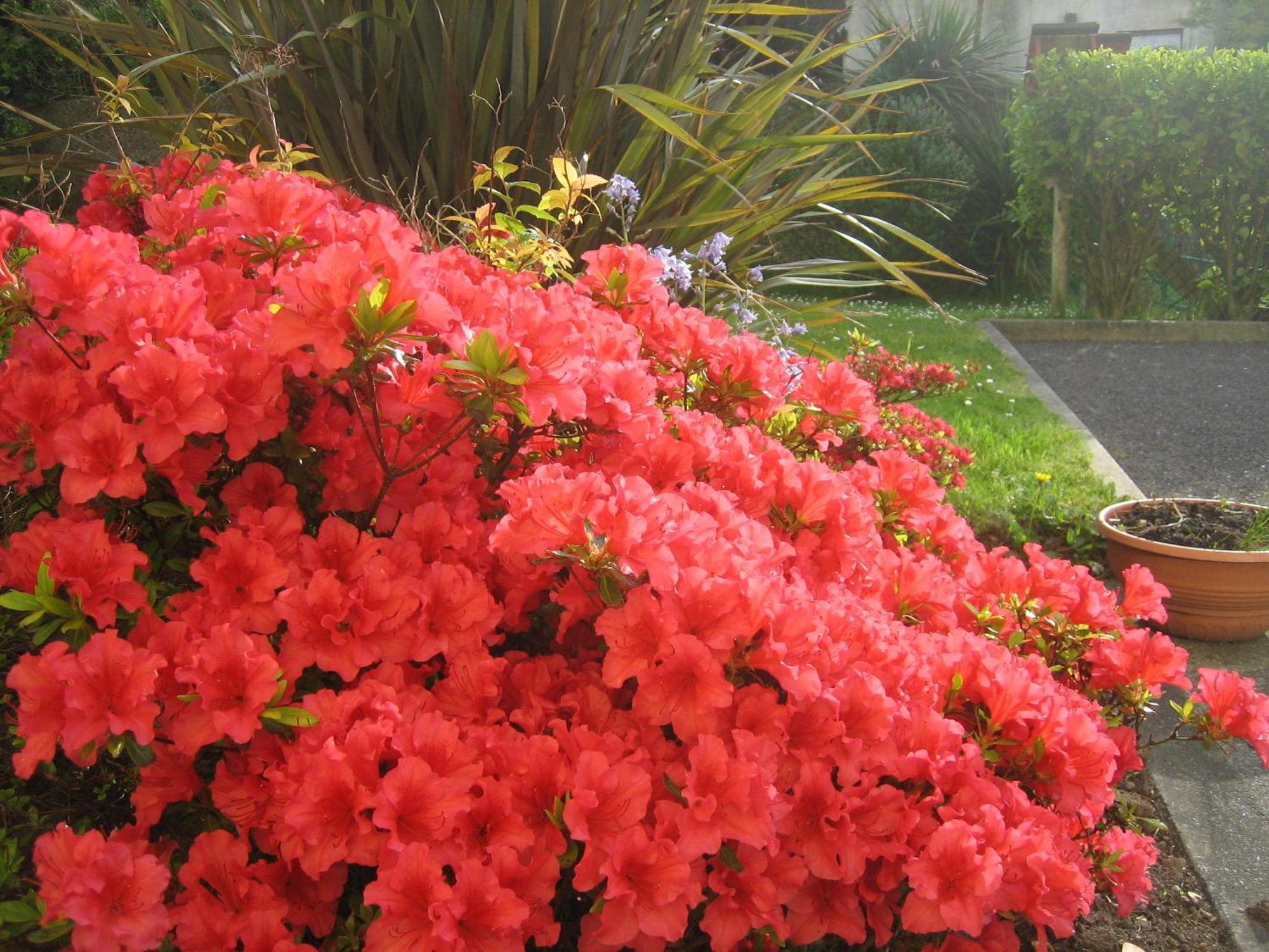 Liosderrig House B&B Glenbeigh Dış mekan fotoğraf