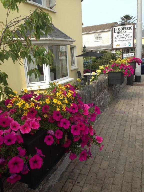 Liosderrig House B&B Glenbeigh Dış mekan fotoğraf