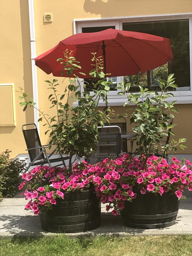 Liosderrig House B&B Glenbeigh Dış mekan fotoğraf